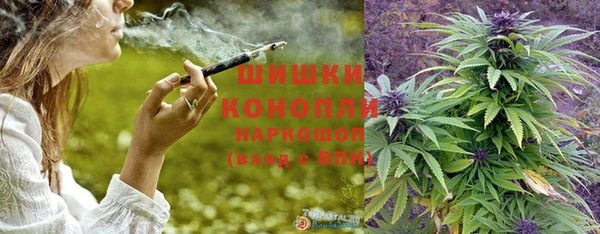 ГАЛЛЮЦИНОГЕННЫЕ ГРИБЫ Алексеевка