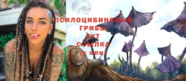 ГАЛЛЮЦИНОГЕННЫЕ ГРИБЫ Алексеевка