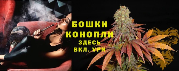 ГАЛЛЮЦИНОГЕННЫЕ ГРИБЫ Алексин
