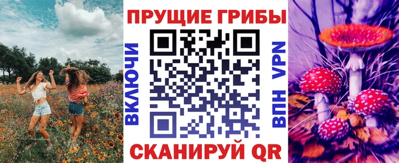 как найти наркотики  Кореновск  Псилоцибиновые грибы мухоморы 